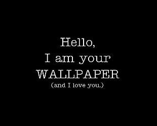 hello I am your wallpaper text, humor, typography, minimalism, text