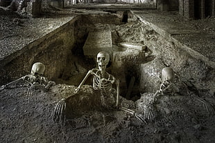 gray skeleton illustration, tomb, skeleton HD wallpaper
