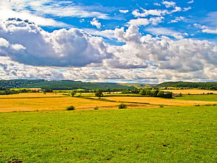 landscape photo of green grass field, bannockburn HD wallpaper