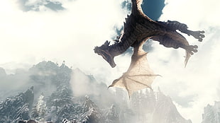 brown dragon illustration, The Elder Scrolls V: Skyrim, The Elder Scrolls, dragon, mountains