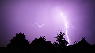thunder and trees, lightning, landscape, silhouette, purple
