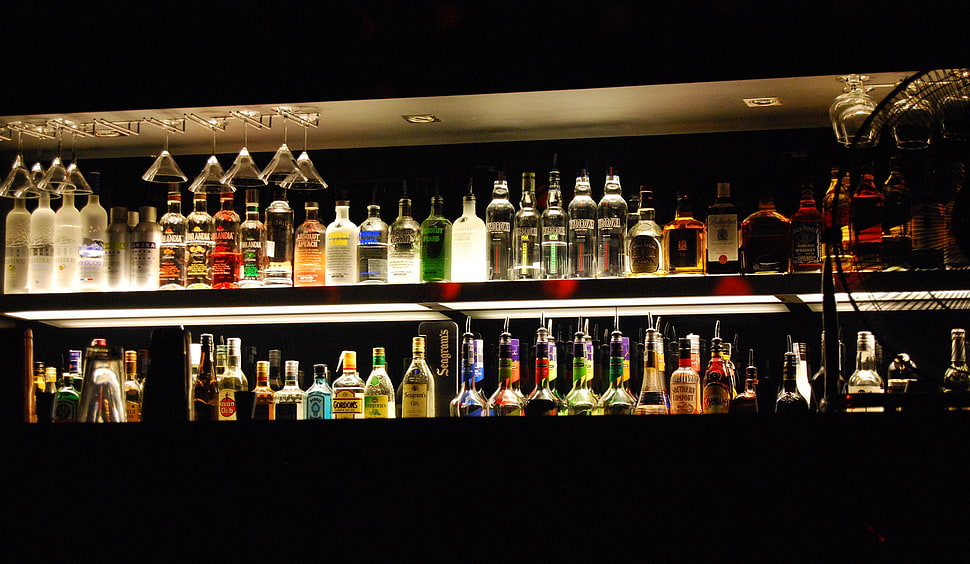 assorted liquor bottles on shelf, beer, vodka, alcohol HD wallpaper