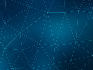 blue and white area rug HD wallpaper