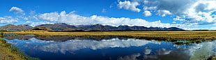 landscape photography of river near grass field, New Zealand, Mt Cook, landscape