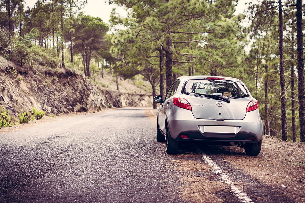 silver 5-door hatchback on gray top road between trees HD wallpaper