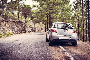 silver 5-door hatchback on gray top road between trees