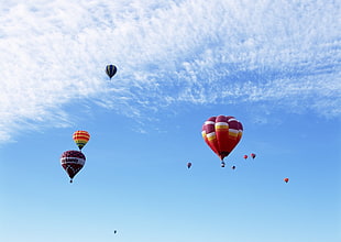 assorted multicolored Hot Air Balloons on clear blue skies