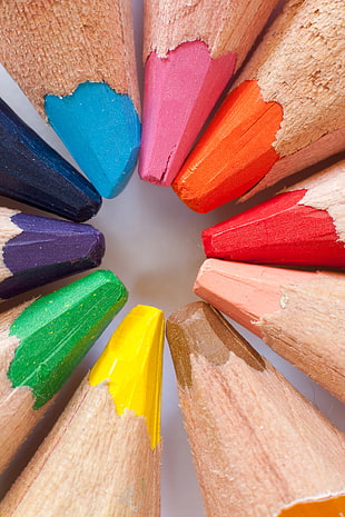 closeup photography color pencils