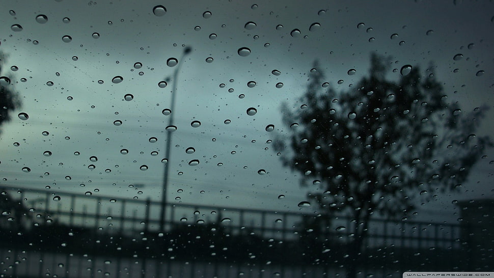 water bubbles, rain HD wallpaper
