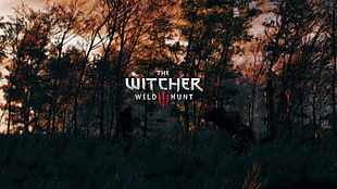 The Witcher Wild Hunt game cover, The Witcher 3: Wild Hunt HD wallpaper