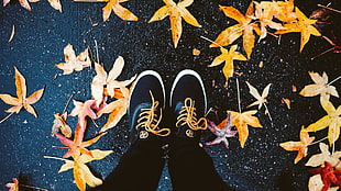 pair of black-and-white low-top shoes, leaves, maple leaves, shoes, feet