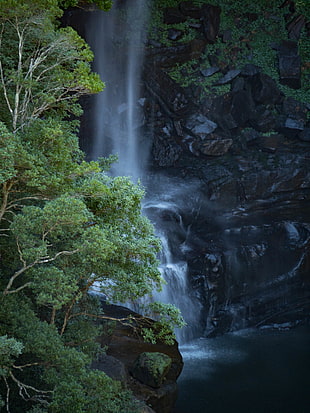 waterfall near trees, belmore HD wallpaper
