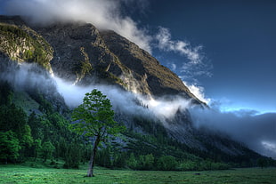landscape foggy mountain during daytime HD wallpaper