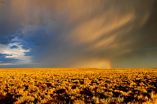landscape photography of grass field under beige clouds, rainbow, seedskadee national wildlife refuge HD wallpaper