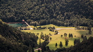 aerial view photography of green field during daytime