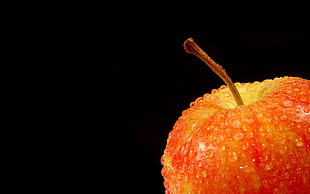 focused photo of red apple