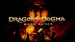 Dragon's Dogma Dark Ariser digital wallpaper