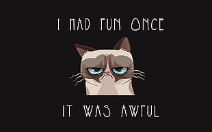 white cat illustration HD wallpaper