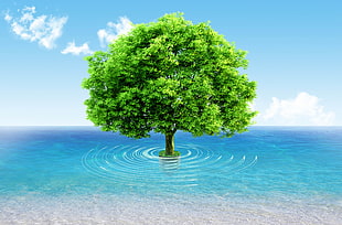 green tree at body of water photo