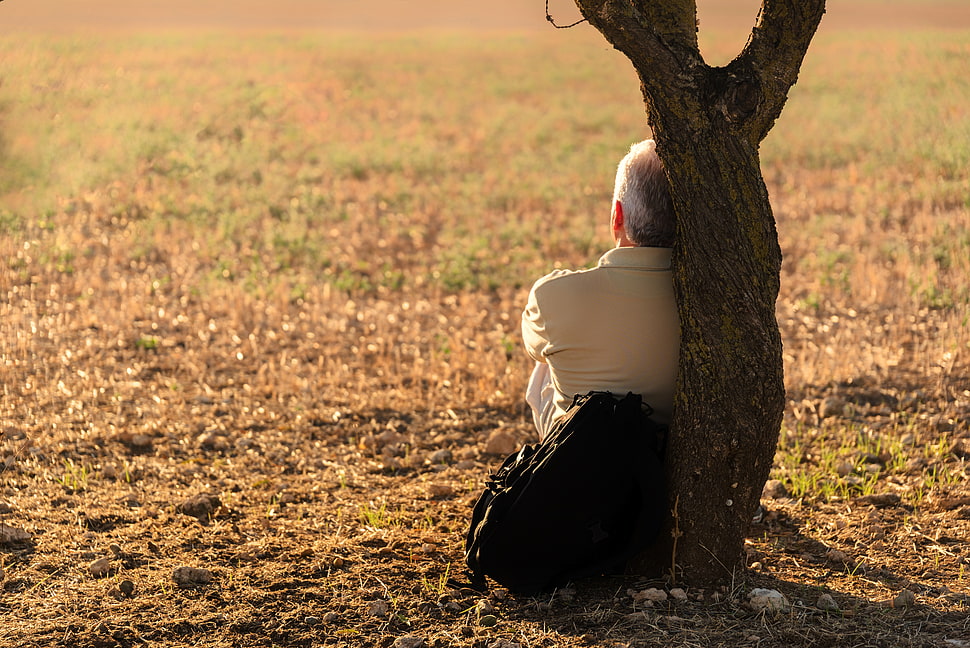 man sitting beside tree HD wallpaper