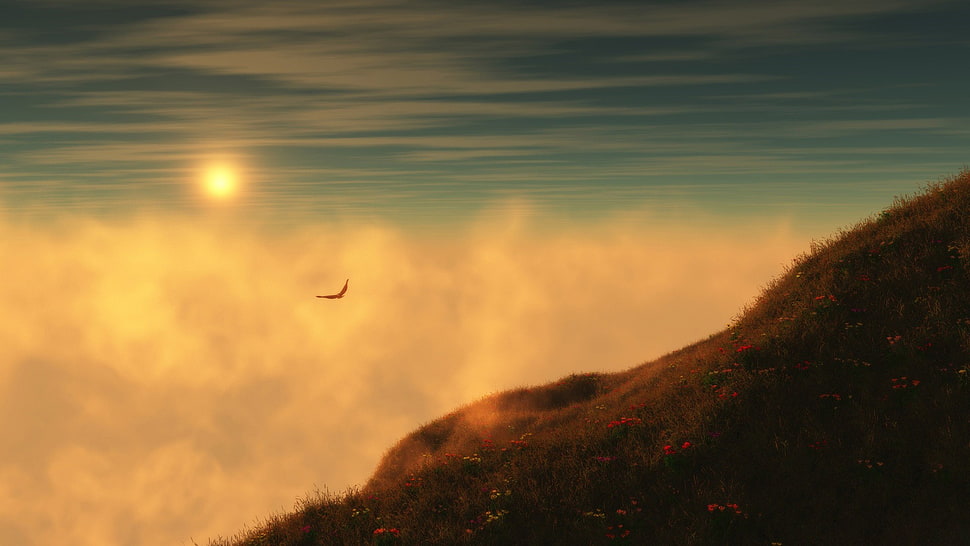 brown mountain, sky, birds, sunset, clouds HD wallpaper