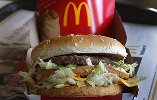 closeup photo of hamburger