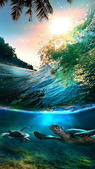 ocean wave selevtive photography HD wallpaper