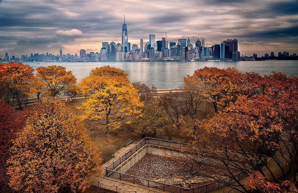 city escape during daytime HD wallpaper