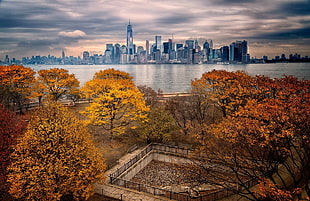 city escape during daytime