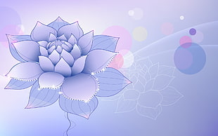 purple Lotus digital wallpaper
