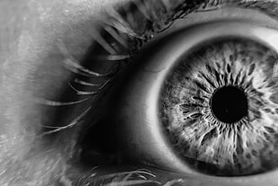 grayscale photography of human eye
