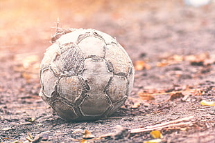 white and black soccer ball, soccer, ball HD wallpaper