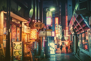 Japan street, Japan, night, neon, Masashi Wakui HD wallpaper