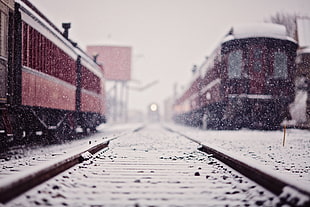 brown train, train, snow, depth of field, railway