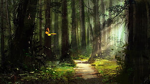green forest graphic wallpaper, fantasy art, artwork, butterfly, trees