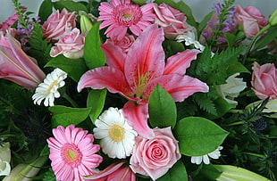 pink and white Lily, Rose and Daisy flowers