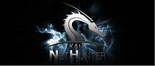 Kali Net Hunter wallpaper, Linux, Kali Linux NetHunter, Kali Linux HD wallpaper