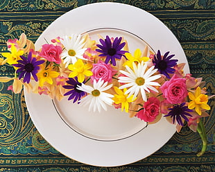Daisy flowers on white ceramic plate