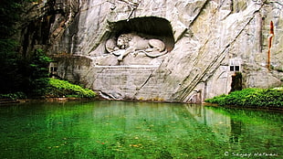 body of water near lion sculpted wall