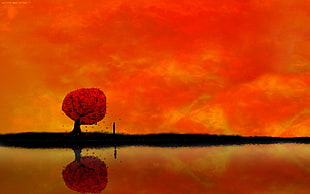 red leafed tree silhouette painting, artwork, sky, trees, water
