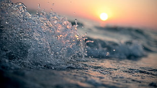 selective focus photography of water splash during sundown HD wallpaper