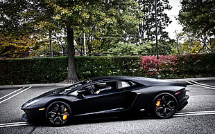 black sports coupe, Lamborghini Aventador, car, Lamborghini HD wallpaper