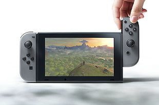 grey Nintendo switch