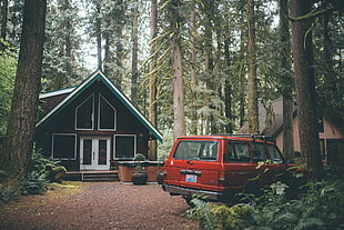 red SUV, house, forest, red cars, car