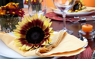 sunflower on yellow cloth HD wallpaper