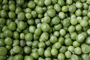 green seeds, Peas, Green, Many