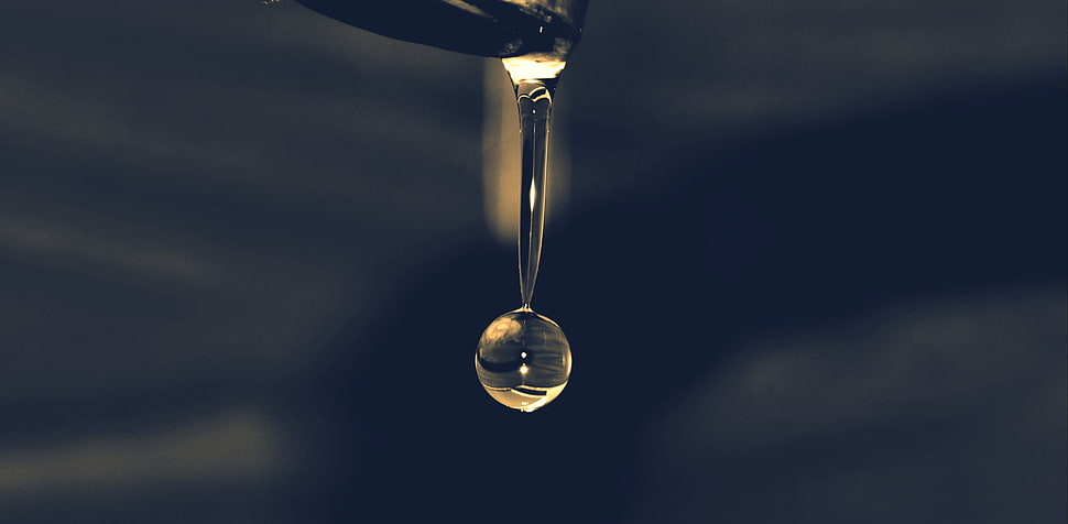 Drops,  Water,  Macro HD wallpaper