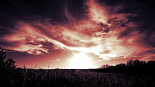green grass field, sunset, Red sun, Red Cloud, grass