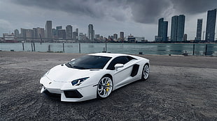white coupe, car, Lamborghini, Lamborghini Aventador HD wallpaper
