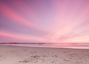 photo of beach during golden hour HD wallpaper